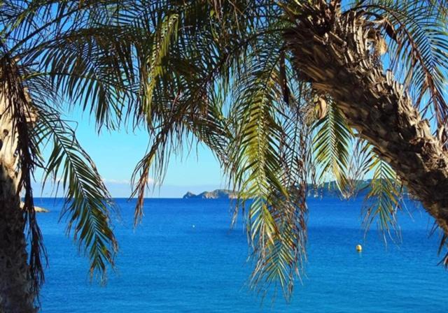 Arenal Javea Holiday Apartment Eksteriør bilde